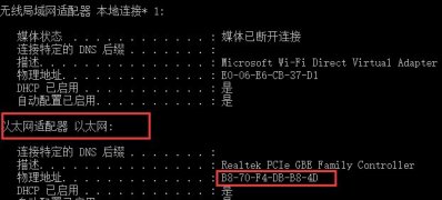 Windows10系统修改物理地址的方法