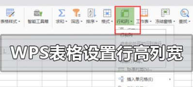 Windows10系统WPS表格调整表格的列宽和行高的方法