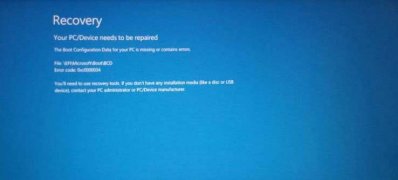 Windows10系统开机蓝屏0xc000000d的解决方法